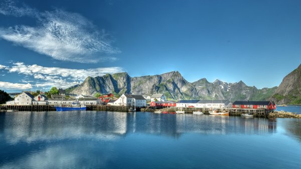 file_87488755