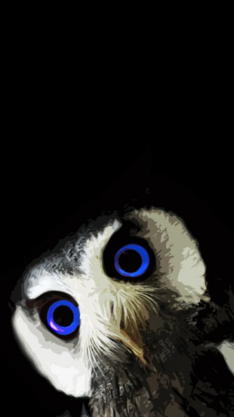 wallpaper 480x854 6 32