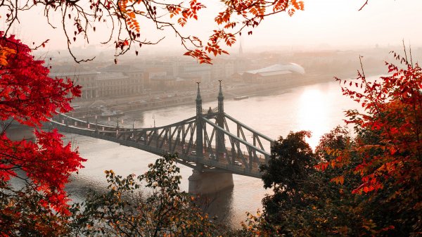 2з (425) (Copy)