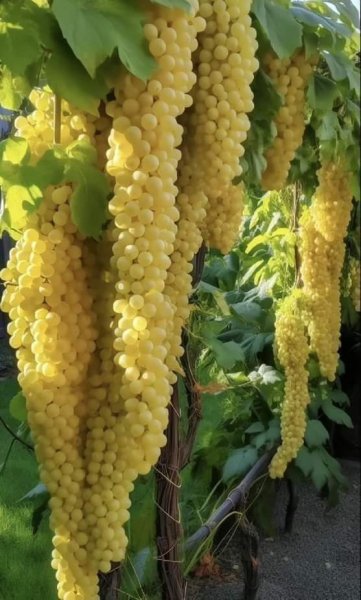 FB IMG 1714498141837