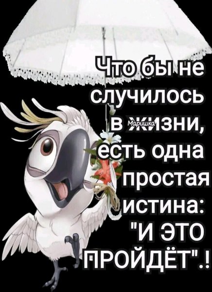 file_100775300