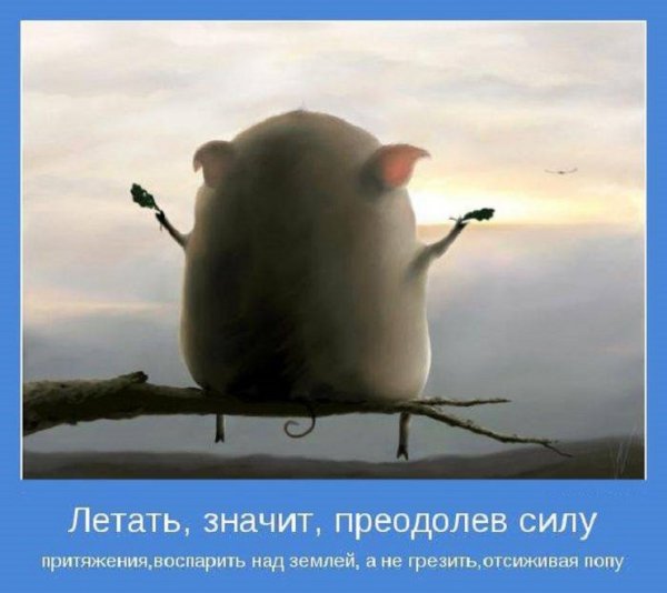 Летать, значит...