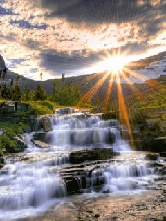 file_55597519