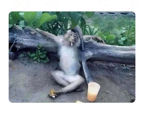 FB IMG 1773946402918