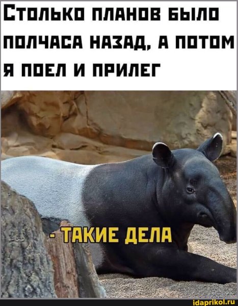 D9a88cc0879380b415f8692da233331d61d6b7c843 1