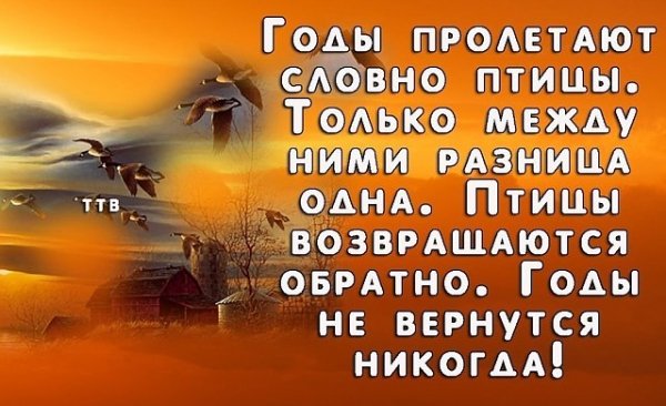 ASwBIBAeQqc