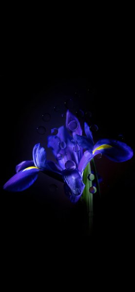 file_92601139