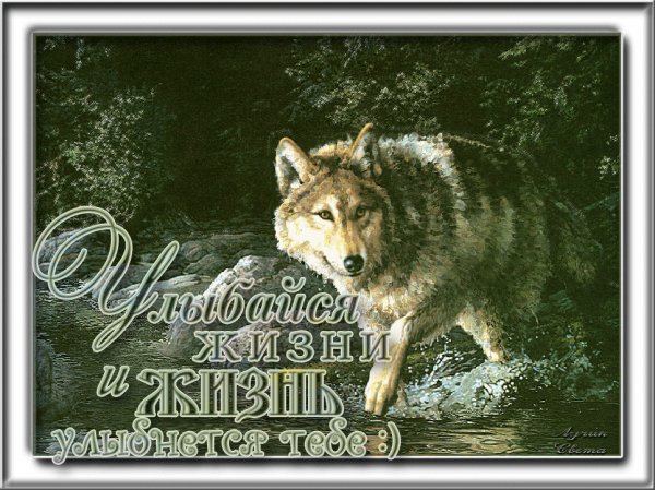 image (19)