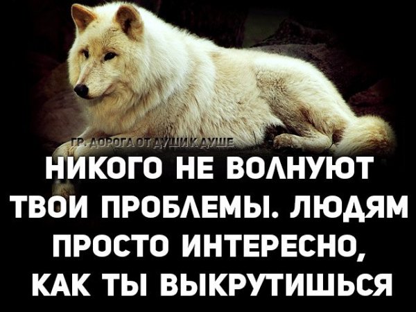 Интирес
