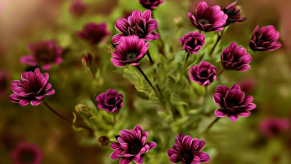 file_83125018