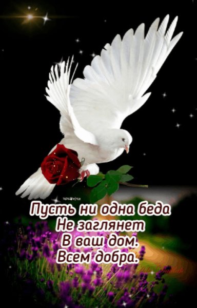 IMG 20210615 135731