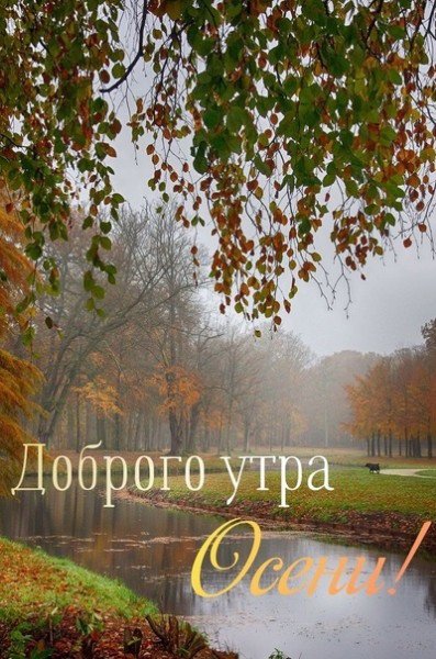 file_94824238