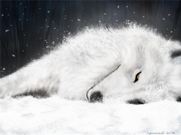 file_98467484
