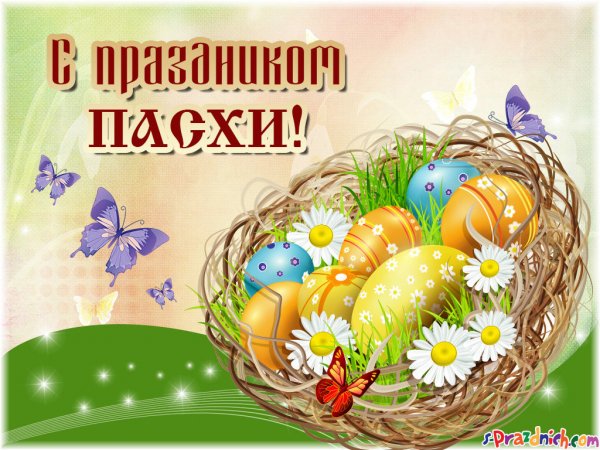 file_84185826