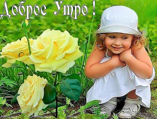 Доброе утро