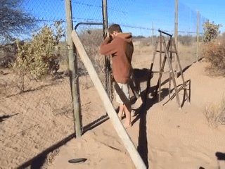 любвеобильная киска
