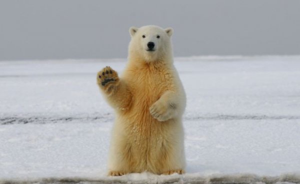 A90b317465b17aeff00a243a10a0a