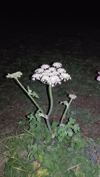 IMG 20251006 201057