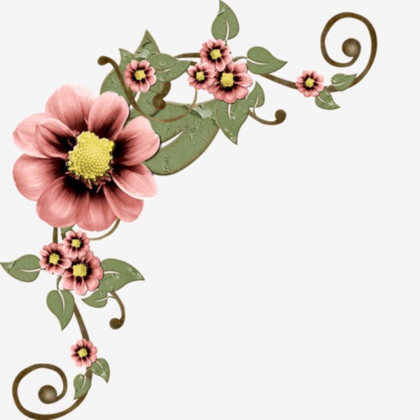 c6a0dc3b8fc4fcff2729fcceedb87bc8