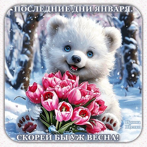 Анимированная открытка последние дни