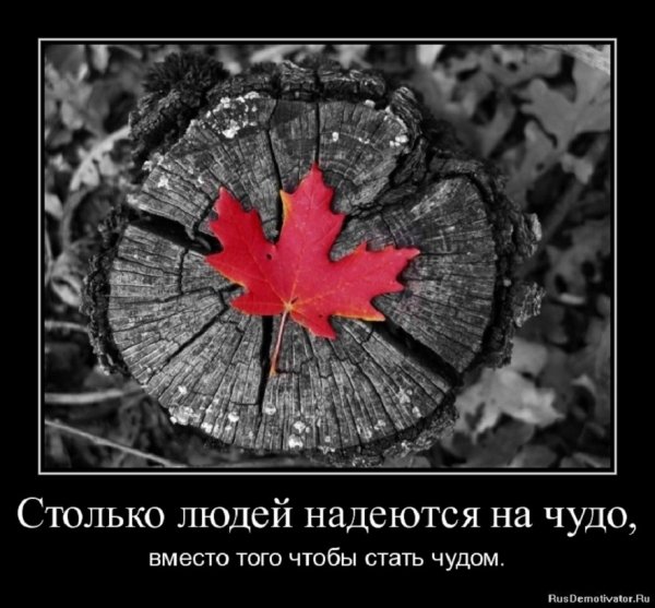 Последний осенний лист...