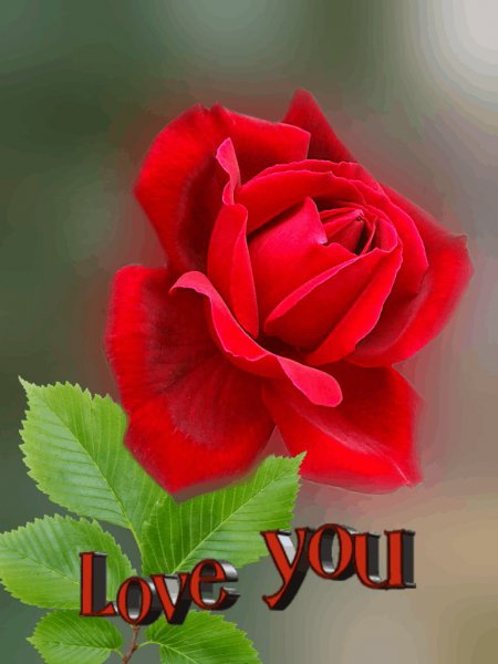 Love you РКДЛ