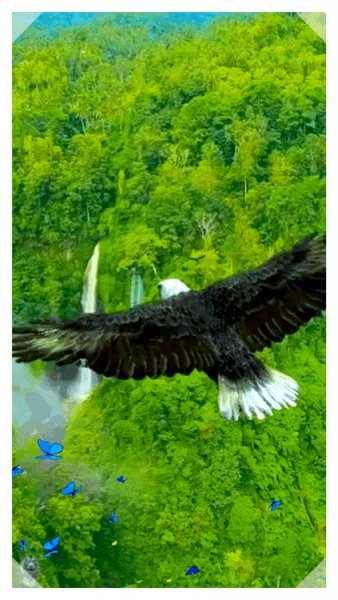 dcccb7d41a8cd7c8dcfe947eabf