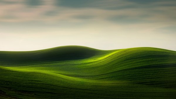file_86308646