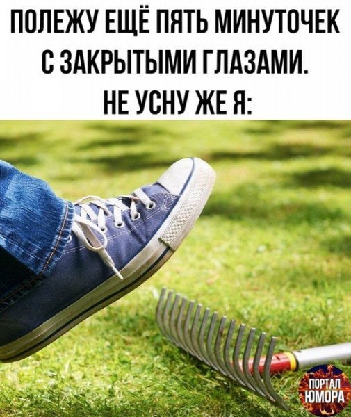 file_99090061