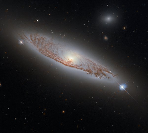 c213143