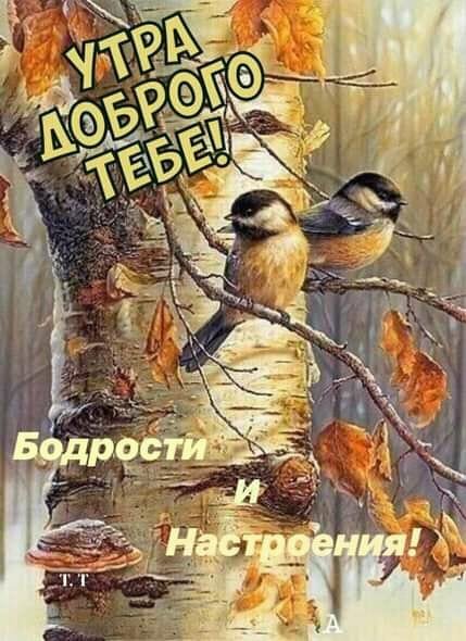 Утра доброго