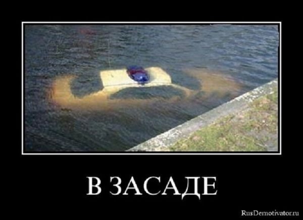 В засаде