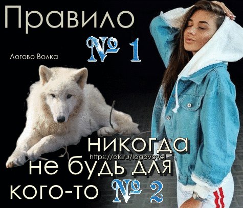 правило мое
