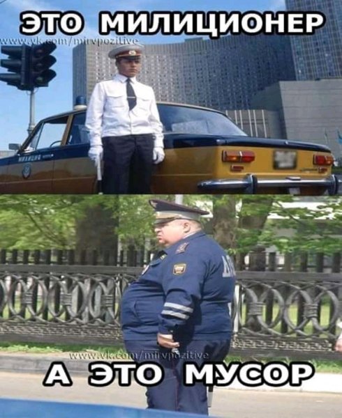 FB IMG 15359062416124598