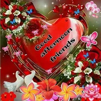 Good Afternoon 000753