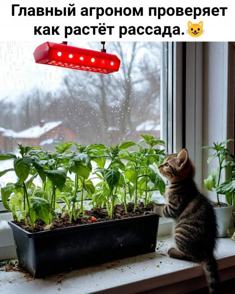 FB IMG 1777318352343