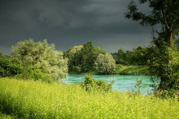 svetik