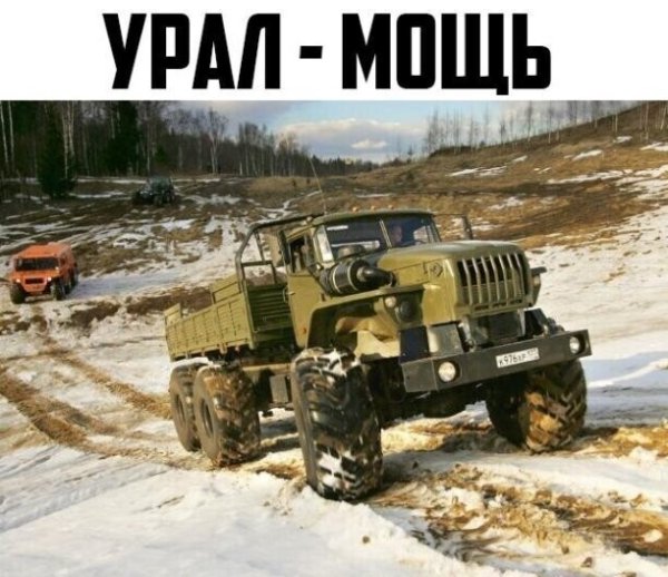 file_89969133