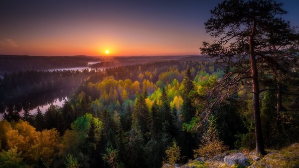 Classy Wallpapers 581 080