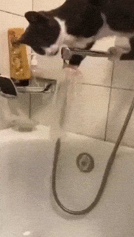 Ржака))