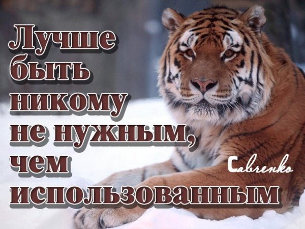 IMG 20210801 082225