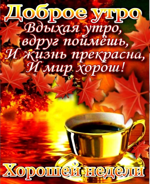 file_88737801
