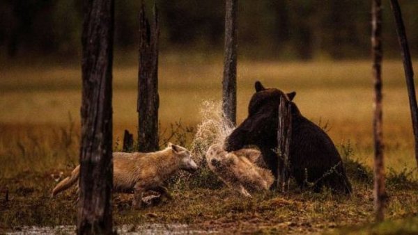 65