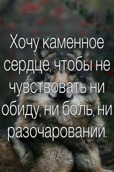IMG 20200704 233816