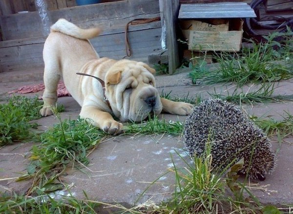 1zK8F7Dy7VS0E5IleSXEhpXQ. 000