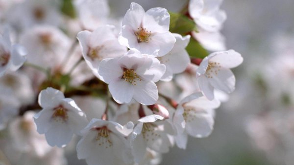 file_78567284