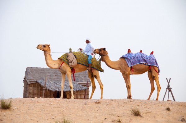 Desert-639297