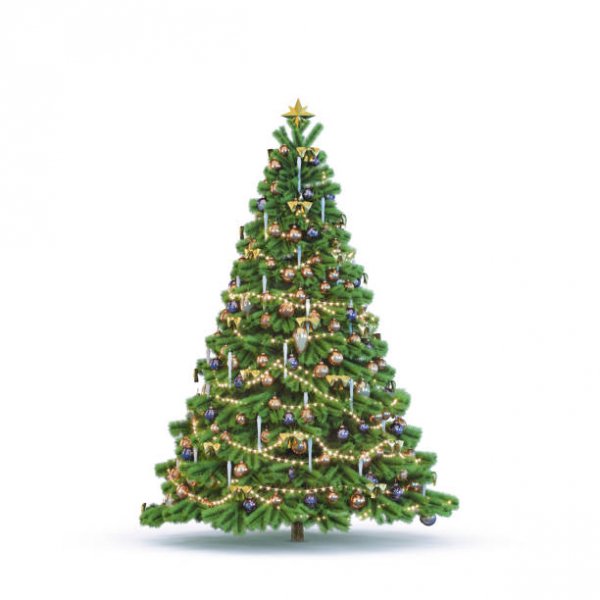 istockphoto-1185721907-612x612