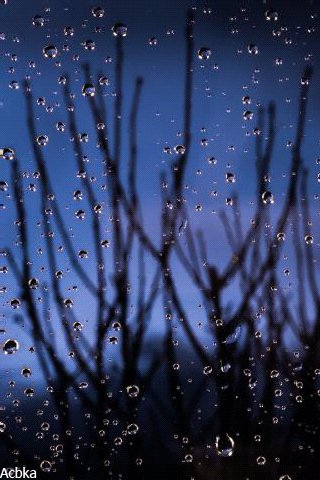 file_78268285