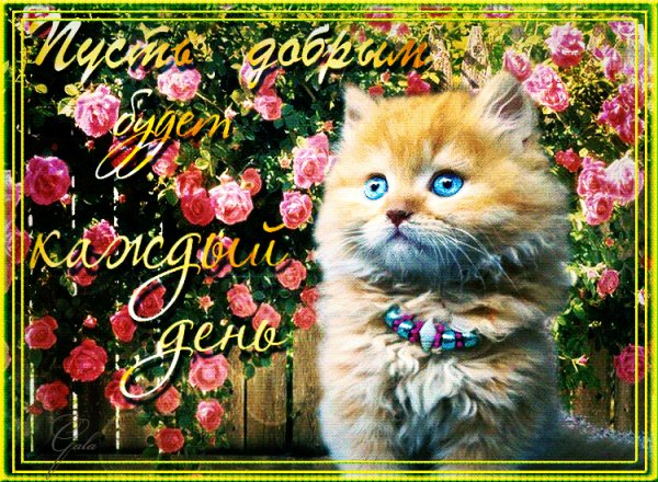 0 11df8f 24d2b7c orig